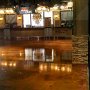 The_Jungle_at_Comerica_Park_Detroit_Seamless_epoxy (32)